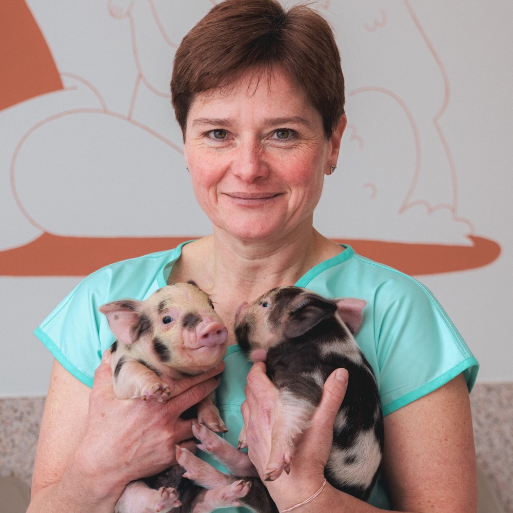 MVDr. Andrea Dytrychová
